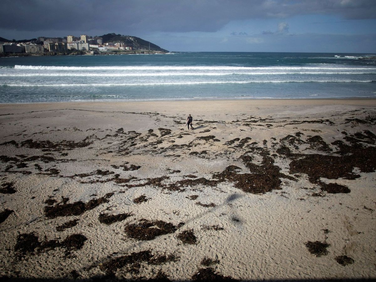 Foto: Playa del Orzán, en A Coruña, llena de algas. (EFE/Cabalar)