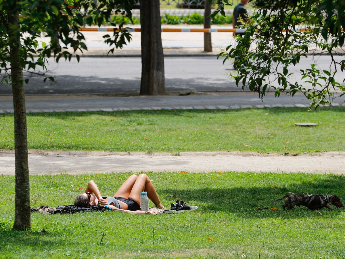Foto: Una mujer descansa ante las altas temperaturas. (EFE/Luis Millán)