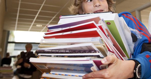 Foto: Un alumno carga con un montón de libros en la 'vuelta al cole'. (EFE)