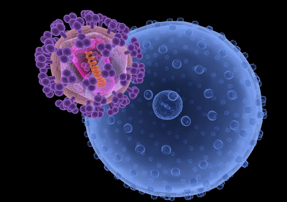Foto: Virus del sida. (iStock)