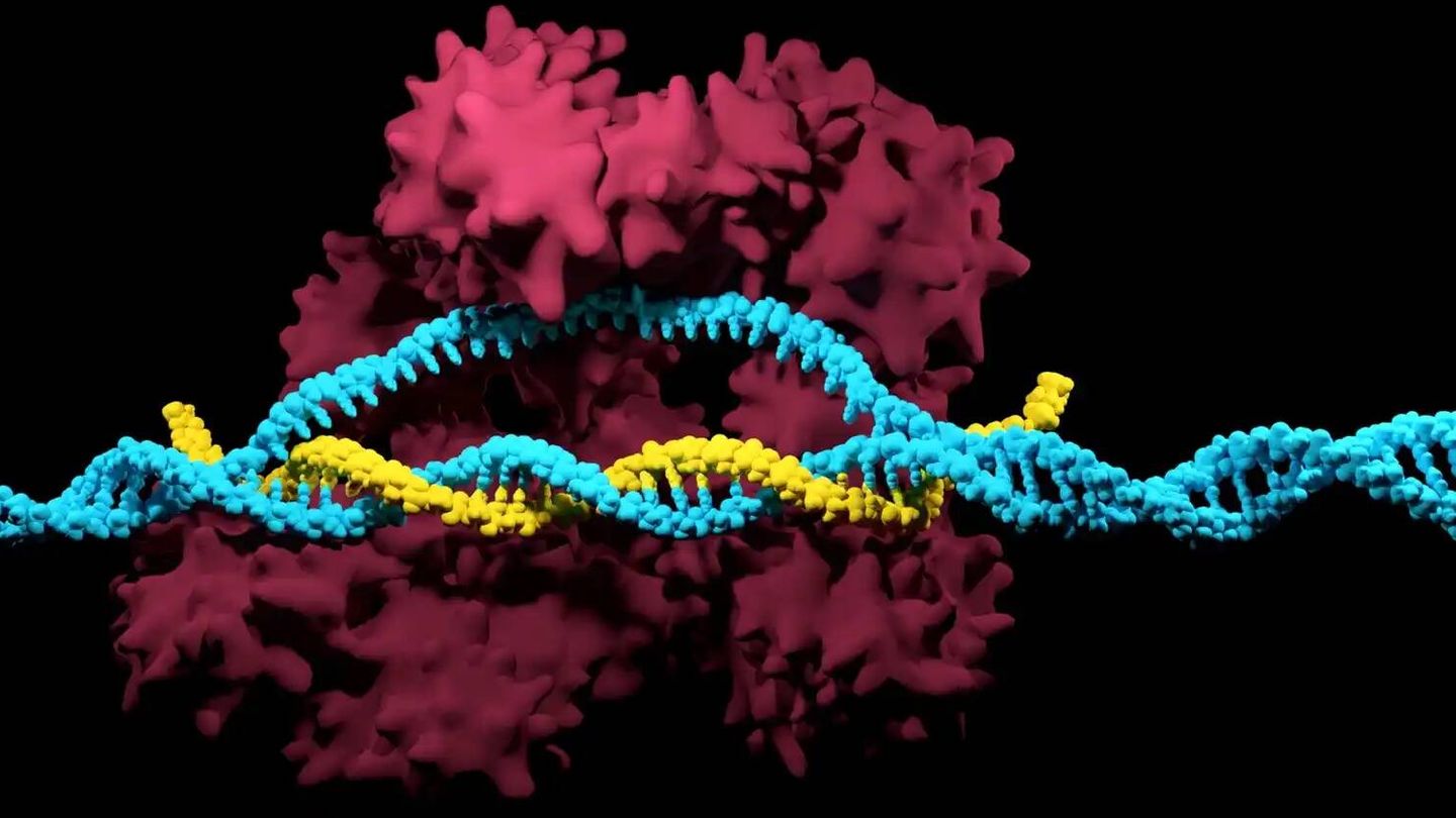 Modelo 3D de la edición CRISPR.