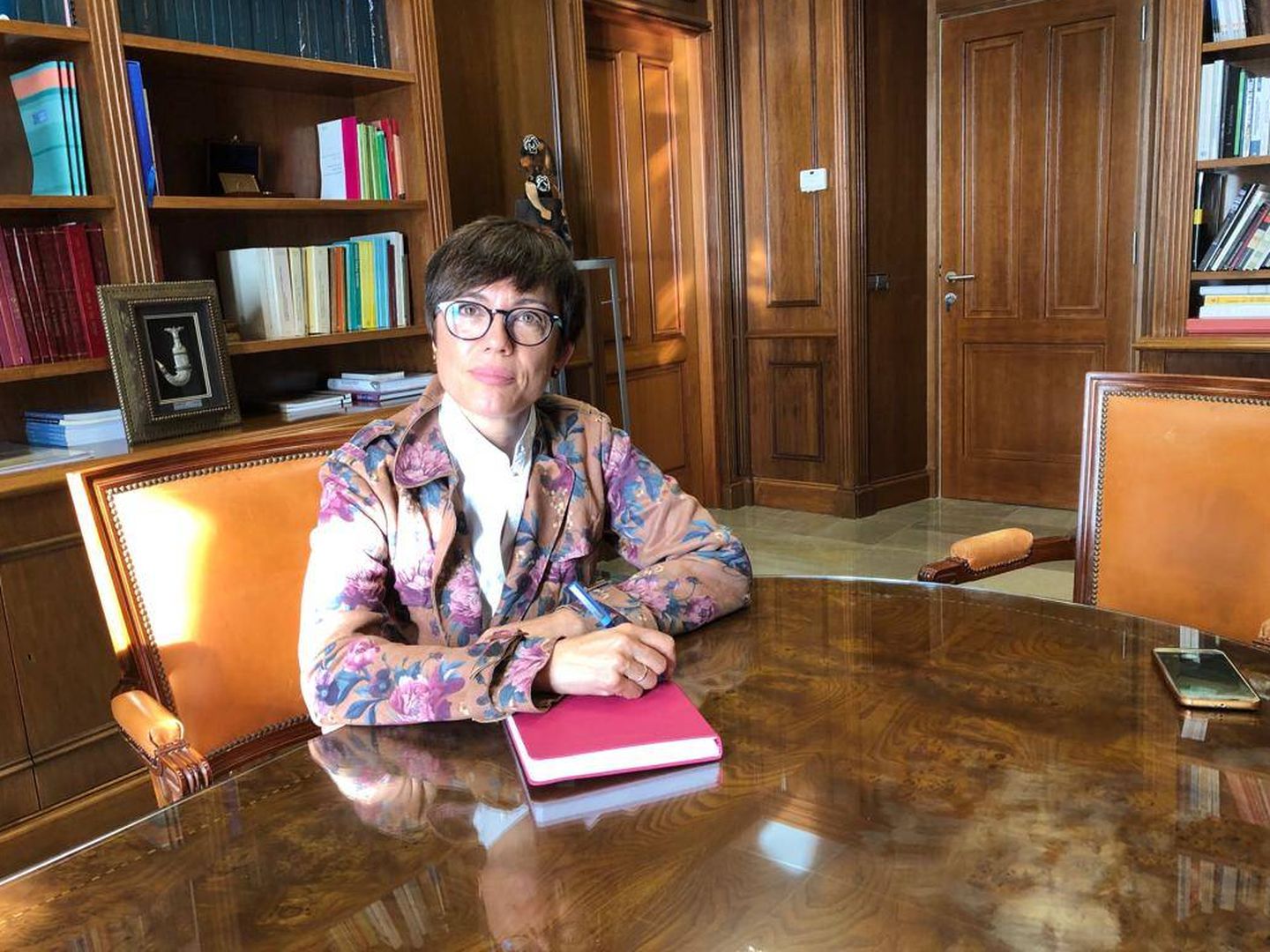 María Gámez, ayer, en su despacho de la Subdelegación del Gobierno. (El Confidencial)
