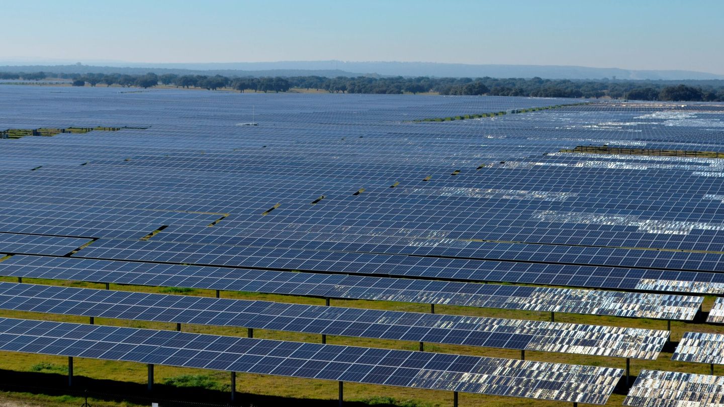 Planta solar fotovoltaica en Cáceres. (EFE)