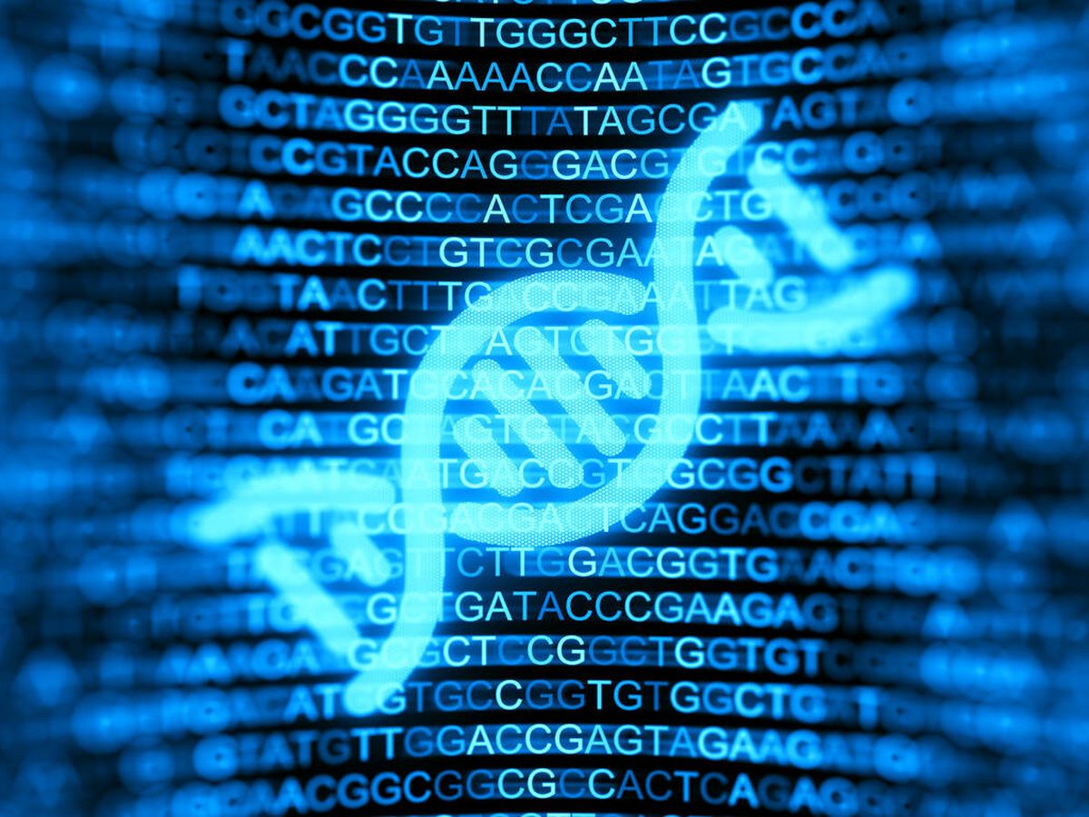 Foto: Secuencia de ADN (iStock)