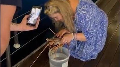 Noticia de Compra una langosta viva en un restaurante solo para devolverla al mar