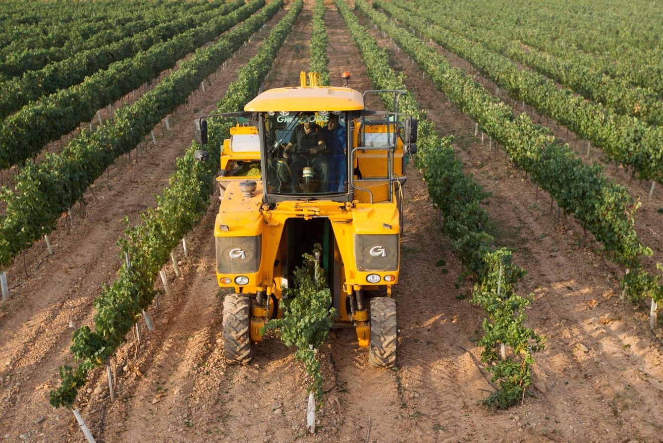 Los cultivos en el campo andaluz y extremeño están cada vez más mecanizados. (EFE)