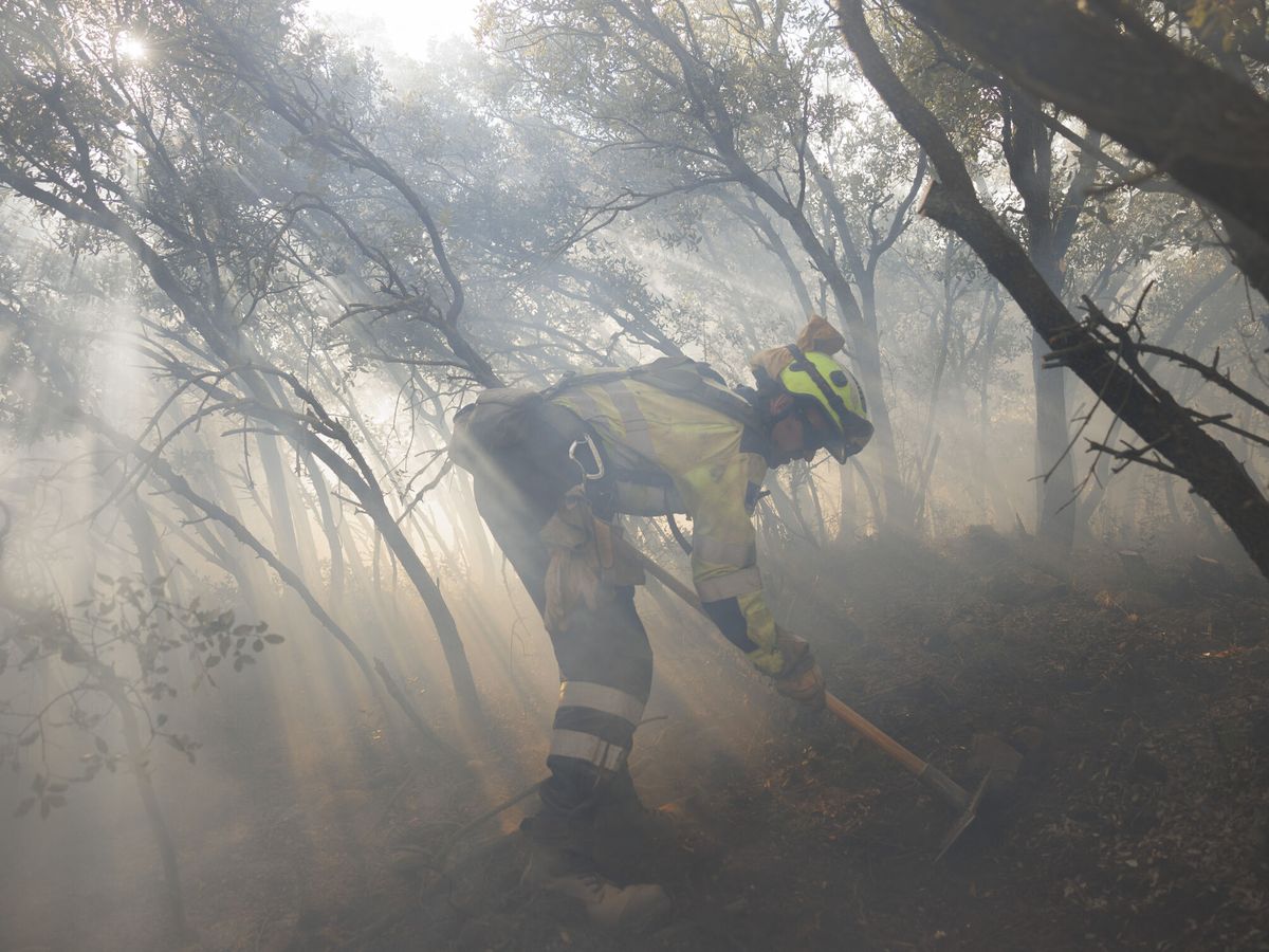 Foto: Un bombero realiza labores de extinción tras el incendio de Bejís. (EFE/Biel Aliño)