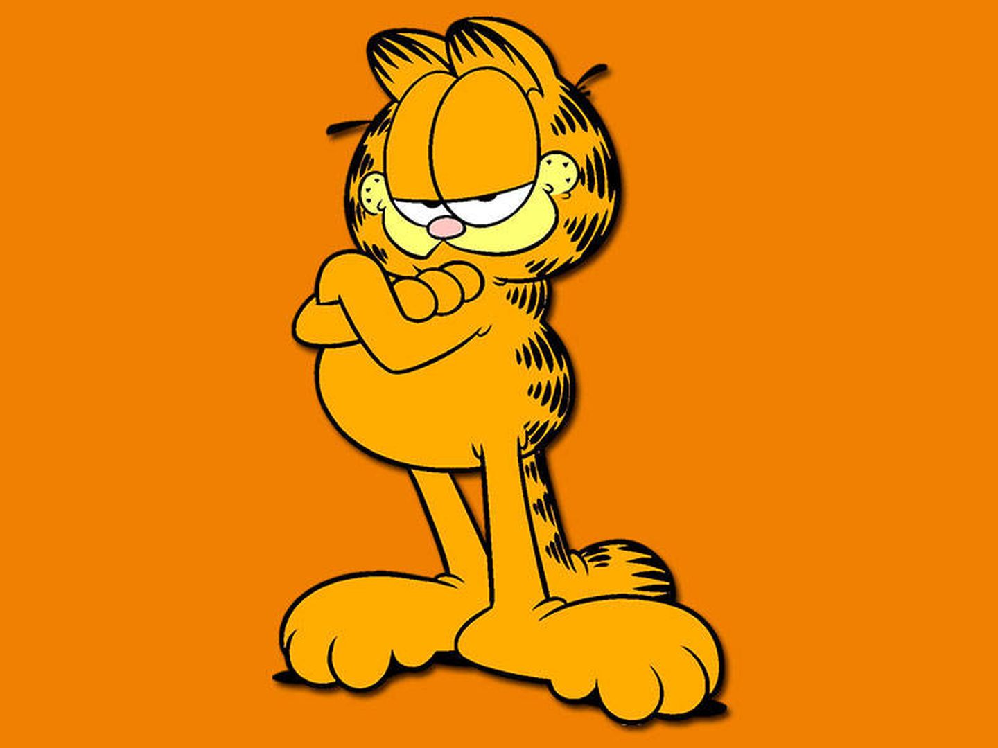 Imagen del popular Garfield. (Viacom)