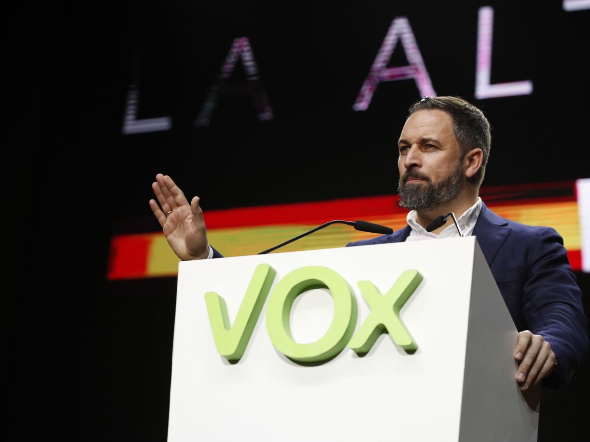 Foto: El líder de Vox, Santiago Abascal, en el acto del partido en Vistalegre. (EFE)