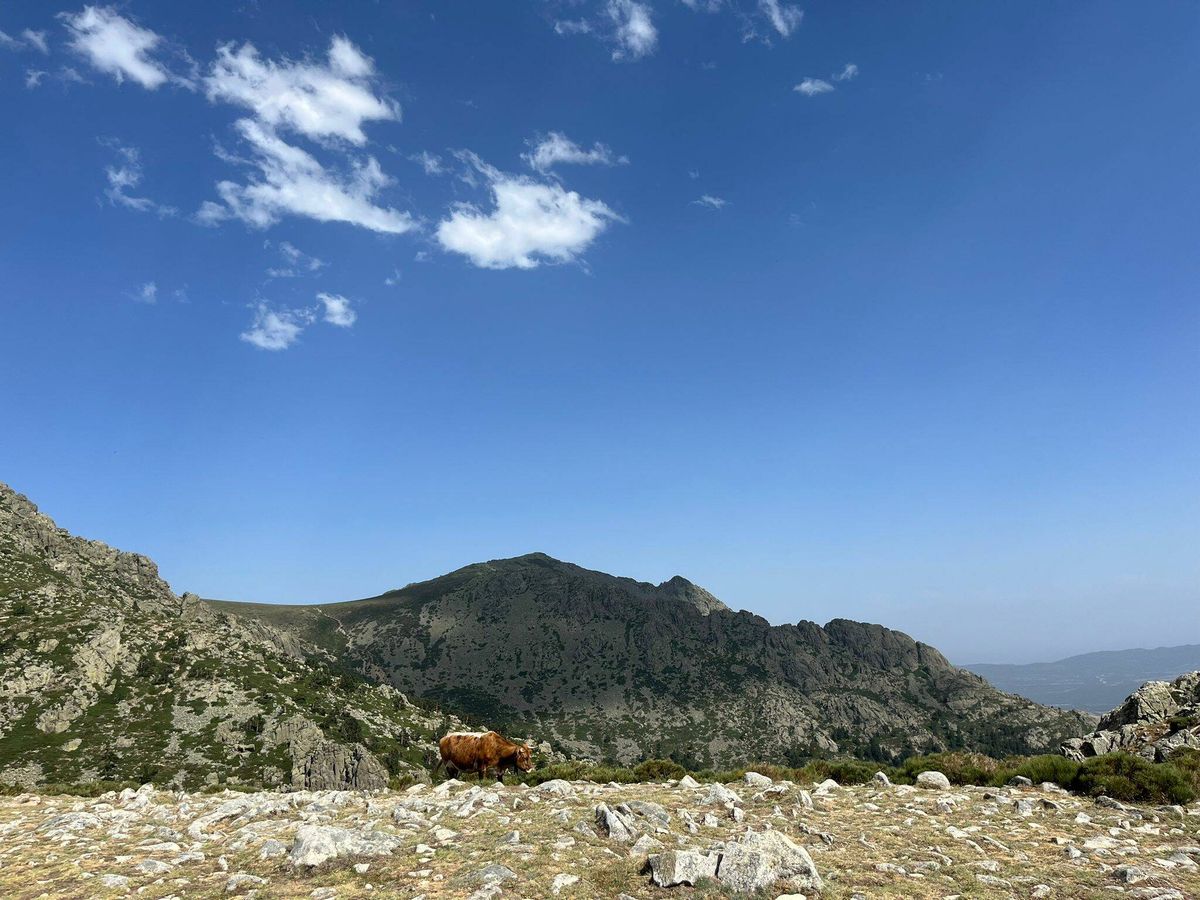 Foto: El pico de La Maliciosa desde la Bola del Mundo, en Navacerrada. (A. F.)