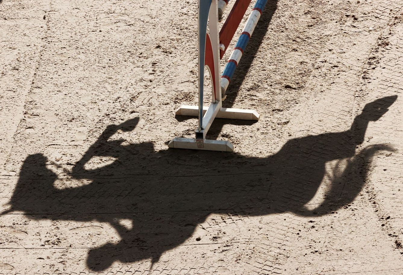 Sombra de un caballo saltando un obstáculo en un concurso en Pamplona. (EFE/Jesús Diges)
