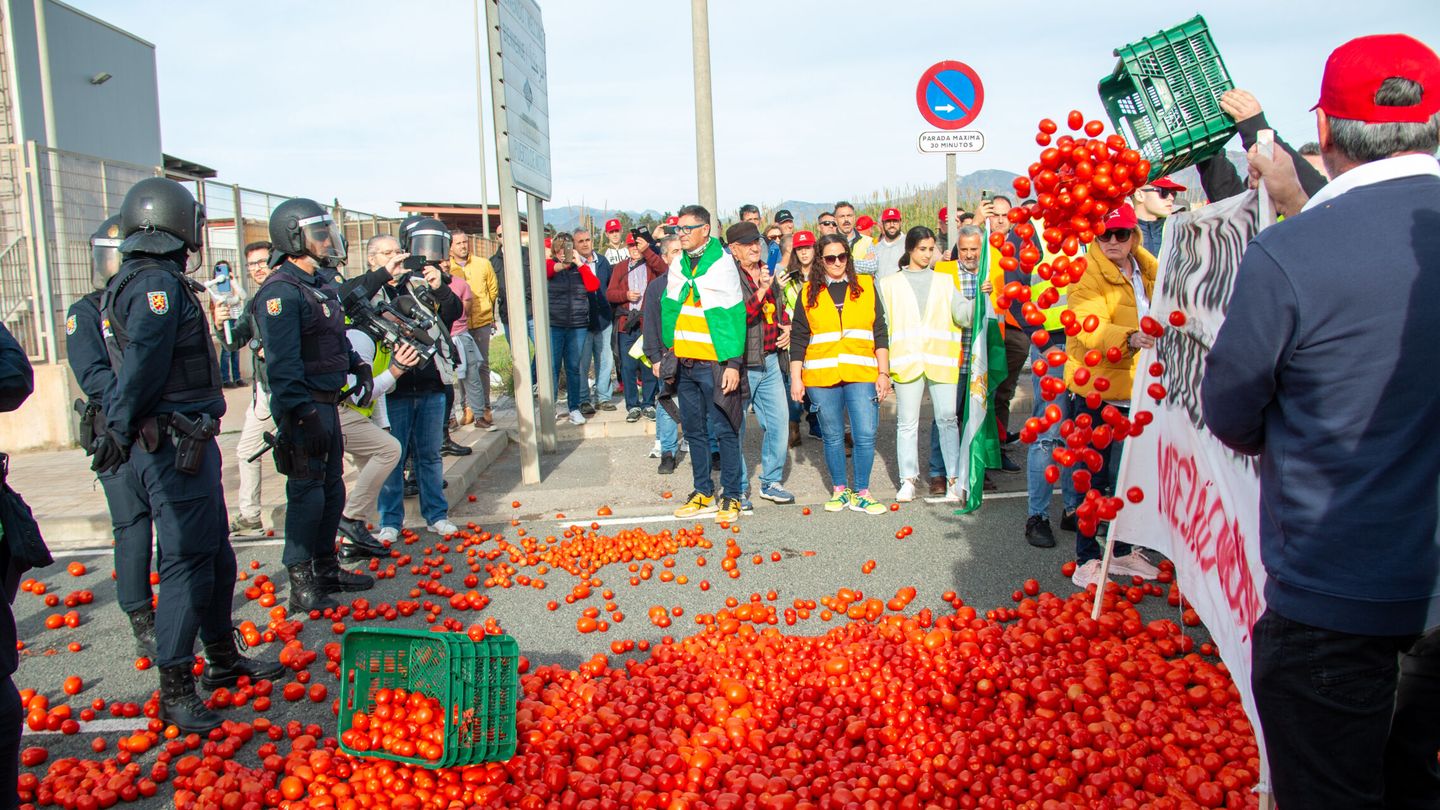 MOTRIL (GRANADA), 14 02 2024.- Agricultores arrojan tomates durante una concentración el puerto de Motril (Granada) este miércoles, donde los manifestantes han cortado, apie, el acceso principal, donde se concentran unas 200 personas. EFE   Alba Feixas 