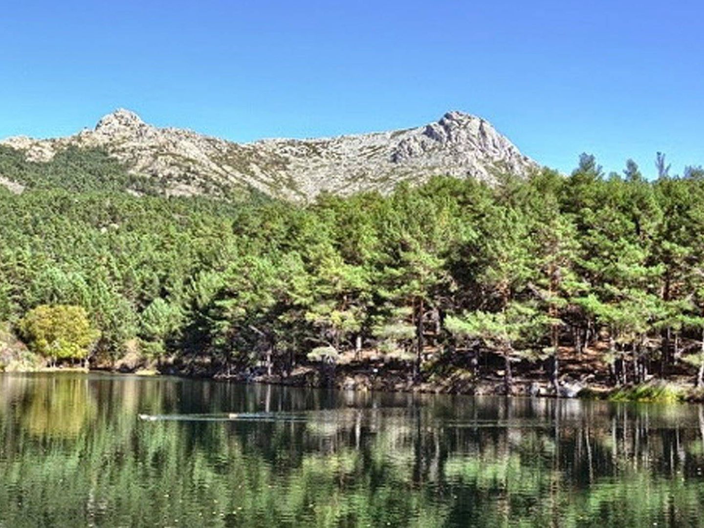 La Barranca, agua, pinos silvestres y montaña. (Foto: Turismo de Madrid)