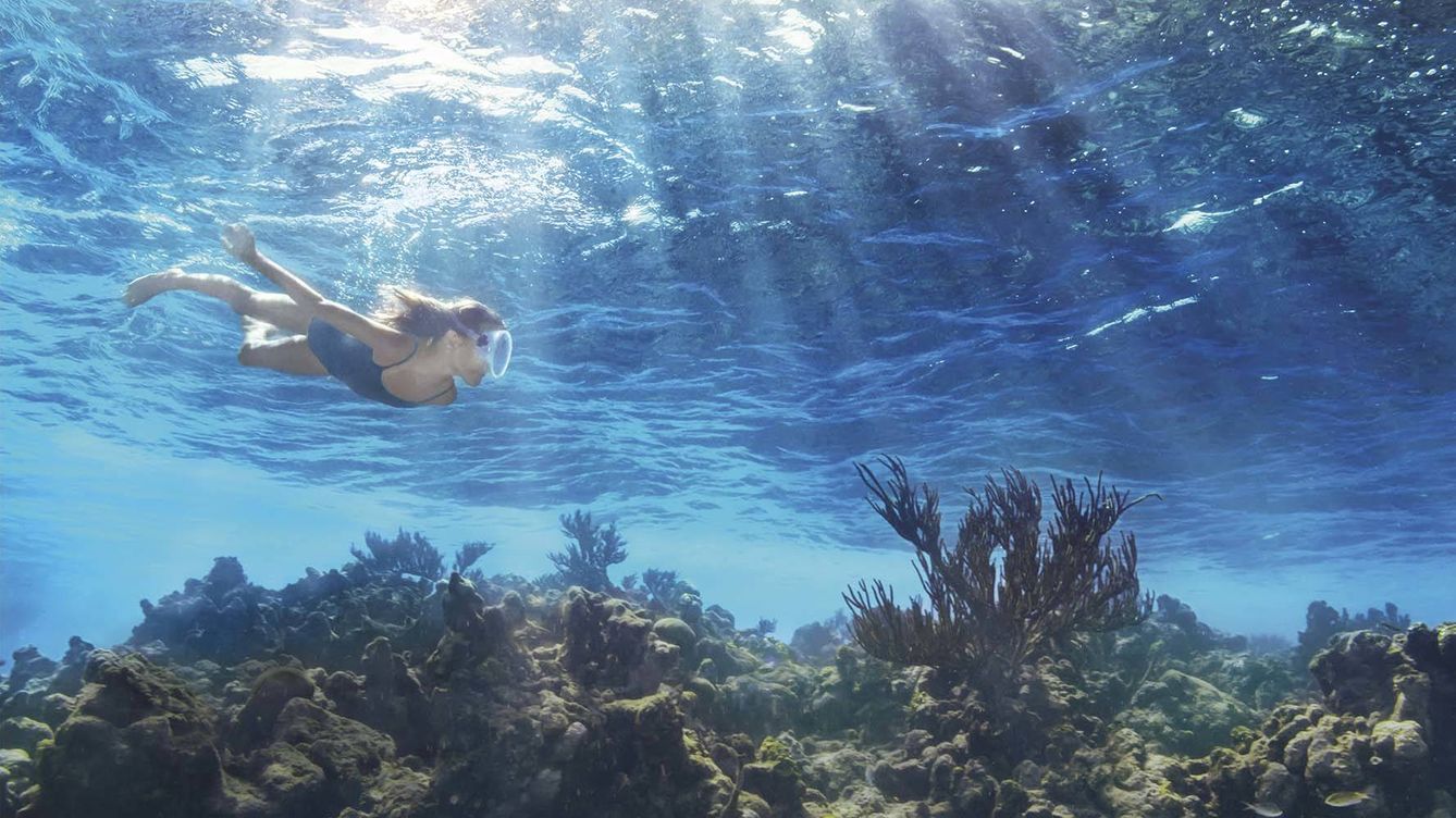 Hasta la fecha, La Mer ha ayudado a respaldar la protección de 16 millones de millas de hábitats marinos únicos en todo el mundo.