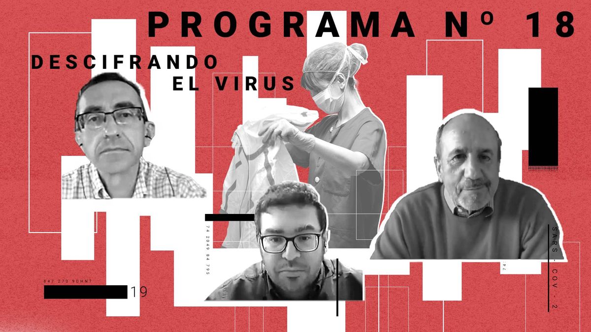 Ni ARNm ni adenovirus: así es la vacuna española más avanzada