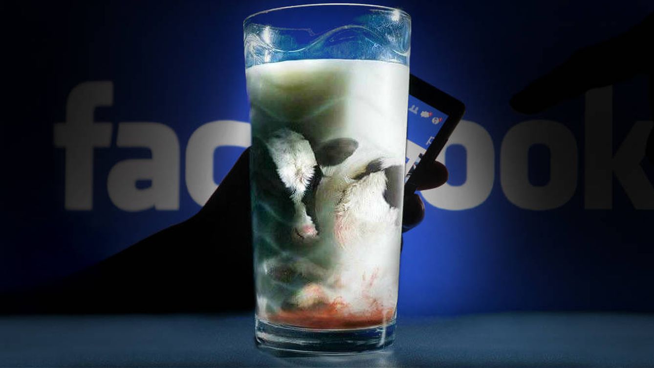 Leche con pus y cúrcuma anticáncer: los bulos alimentarios que inundan tu Facebook