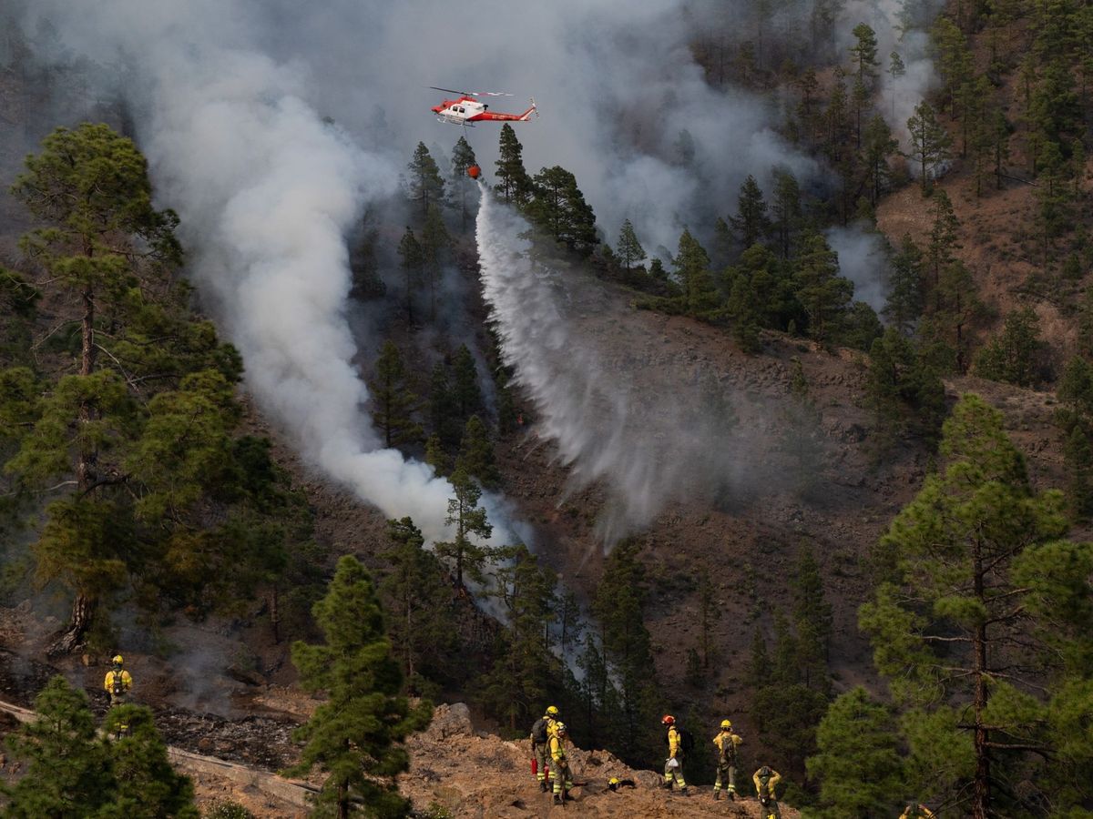 Foto: Un helicóptero descarga agua en el incendio de Tenerife. (EFE)