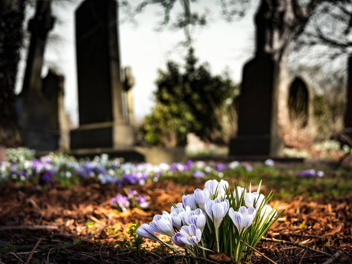 Foto: Imagen de recurso de un cementerio. (Foto: Pixabay)