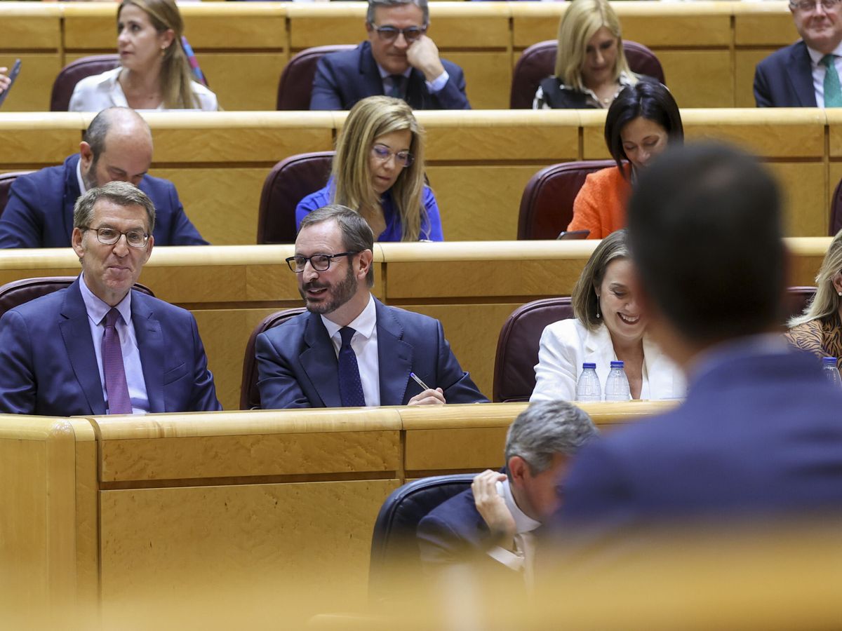 Foto: Alberto Núñez Feijóo y Pedro Sánchez, en el Senado. (EFE/Kiko Huesca)