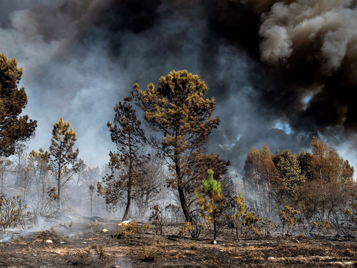 Foto: Incendio forestal en el municipio orensano de Vilamarín, en 2017. (EFE)