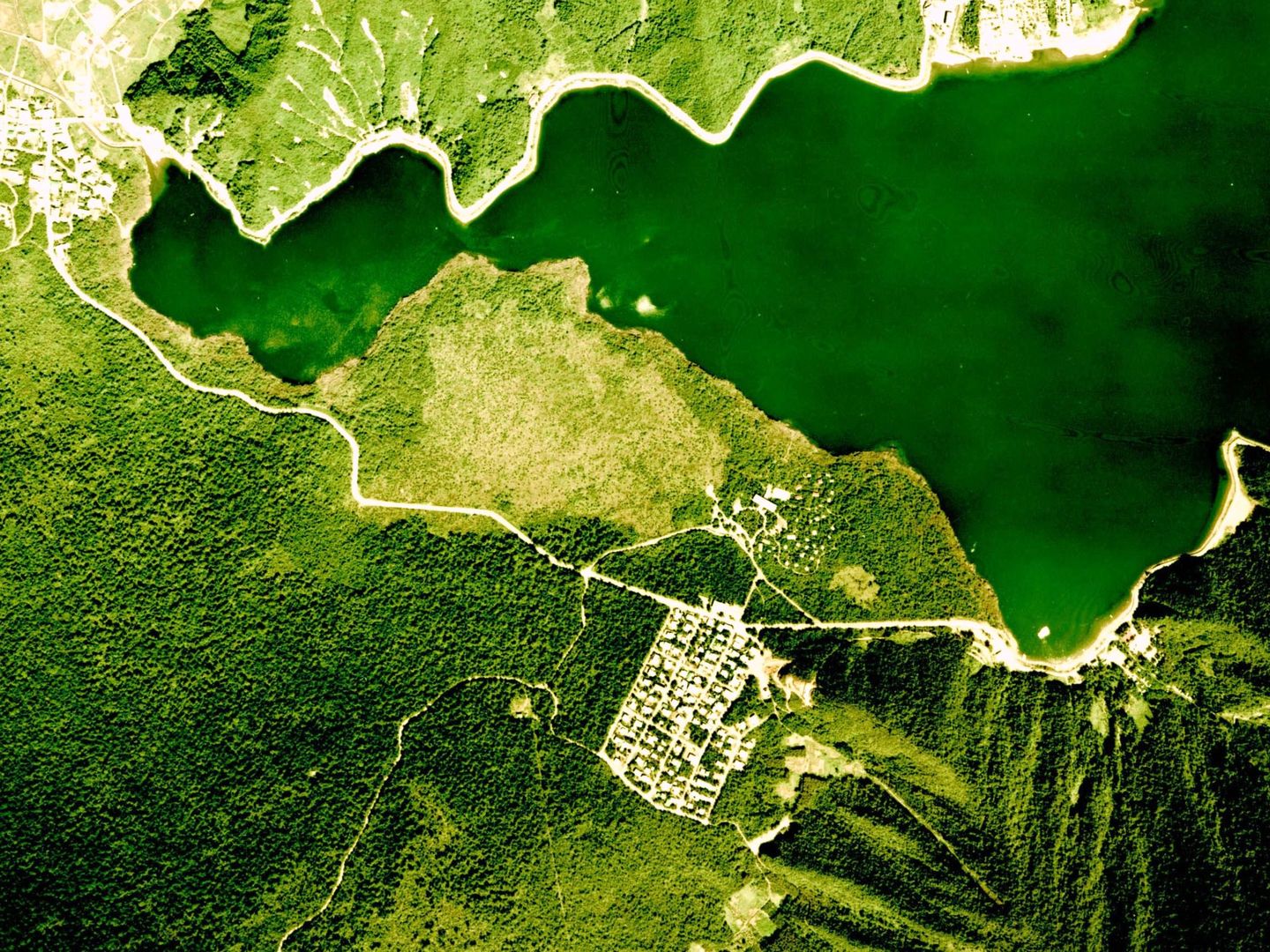 Vista aérea del bosque Aokigahara y el lago Saiko | Foto: National Land Image Information, Japón