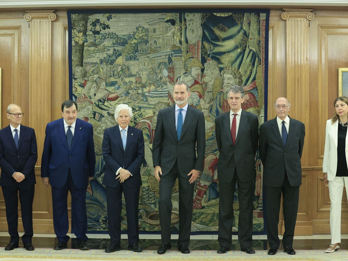 Foto:  El rey Felipe VI recibe en audiencia a la Real Academia de Doctores de España. (EFE/Zipi Aragon)
