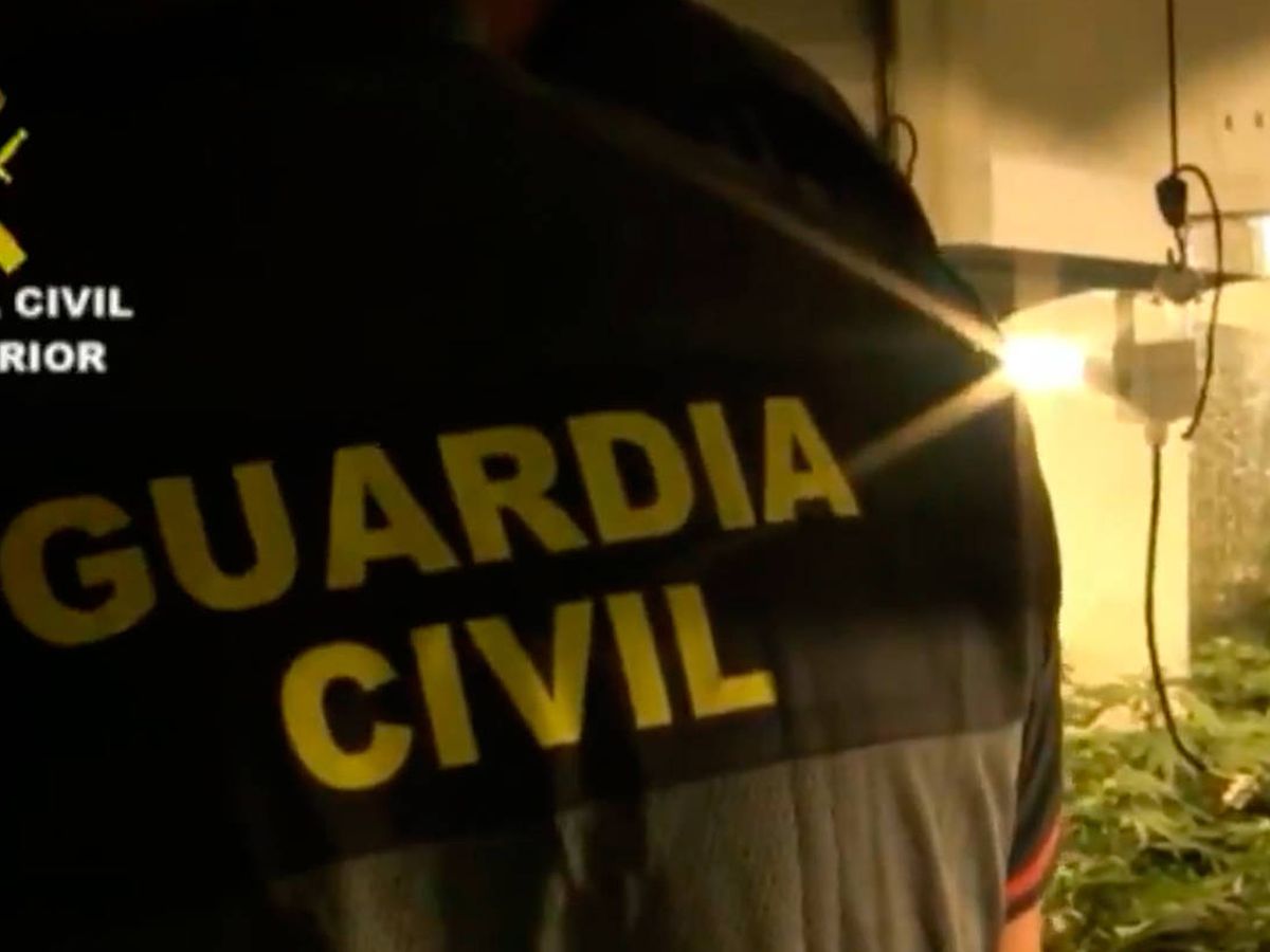 Foto: La Guardia Civil ha detenido a cinco personas en el transcurso de las operaciones antidroga (Foto: Twitter)