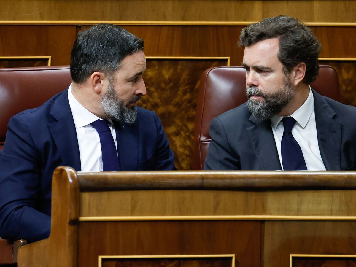 Foto: El líder de Vox, Santiago Abascal (i), y el portavoz parlamentario Iván Espinosa de los Monteros en el Congreso de los Diputados. (EFE/Chema Moya)