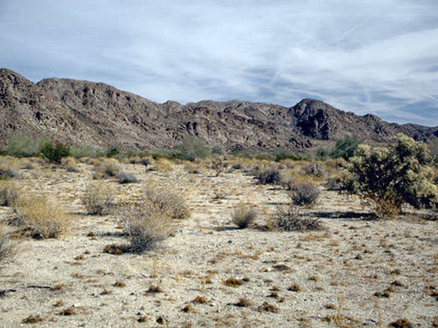 El desierto del Colorado. (CC/Spacenut525)