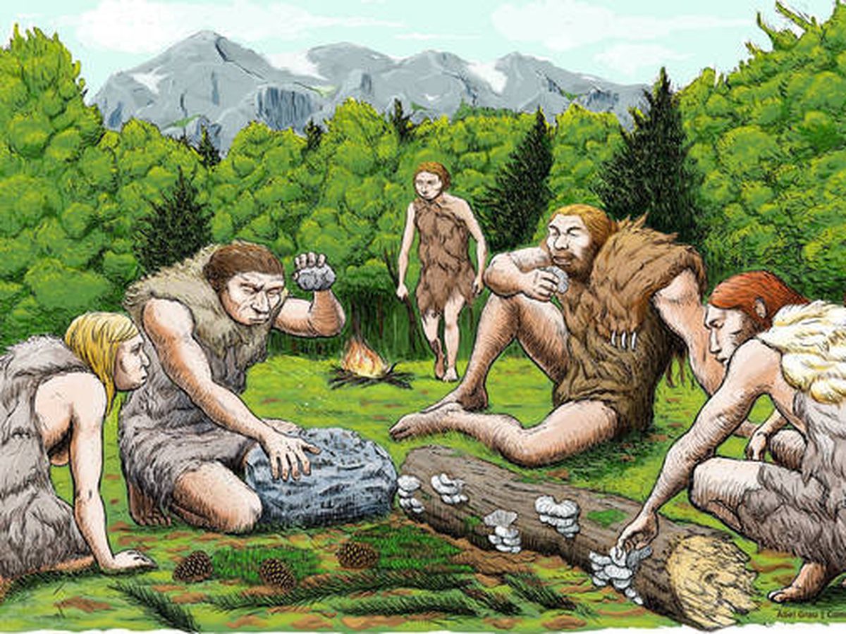 Foto: Cinco neandertales de El Sidrón degustan setas, piñones y musgo. / Abel Grau (CSIC)