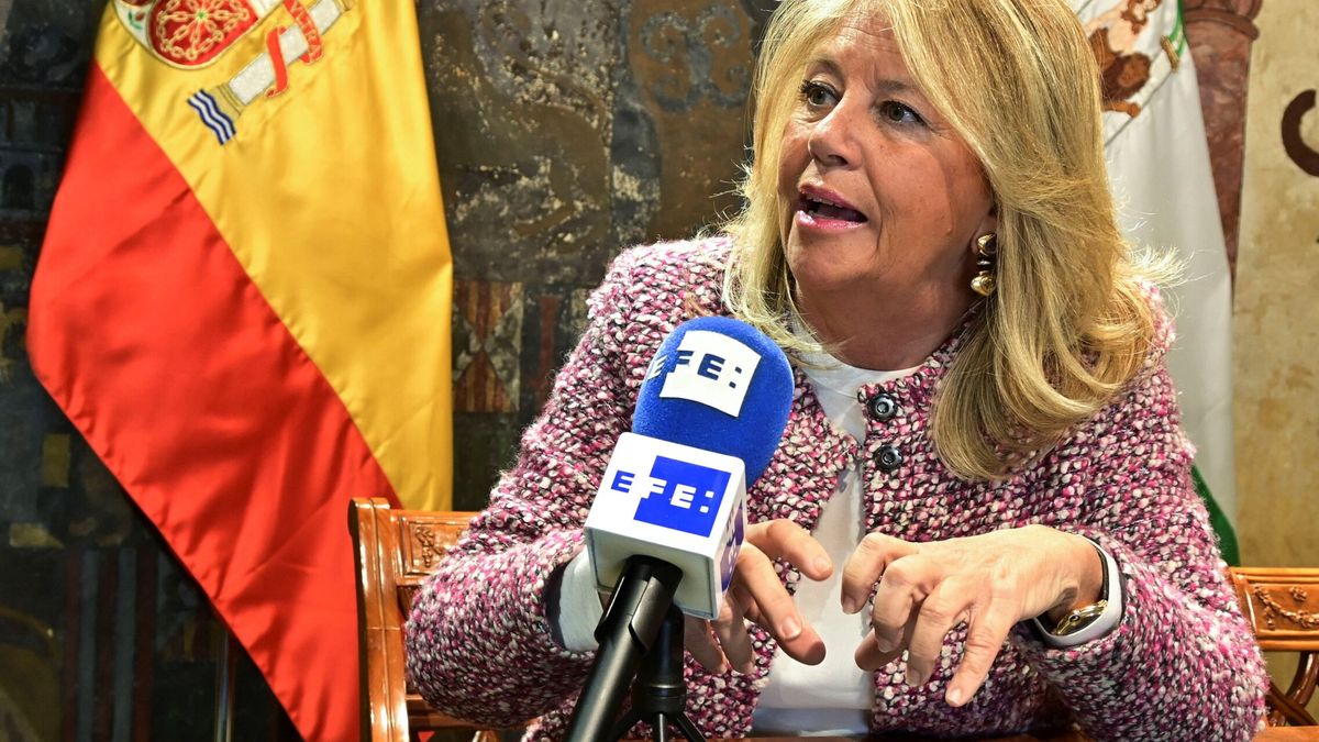 La AN cortocircuita la estrategia del PSOE en el caso del hijastro de la alcaldesa de Marbella