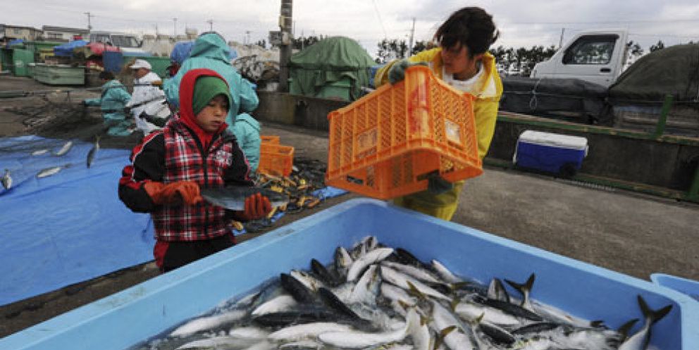 Foto: Alerta en Japón: la radiación supera 3.355 veces el límite de lo permitido en el mar cerca de Fukushima