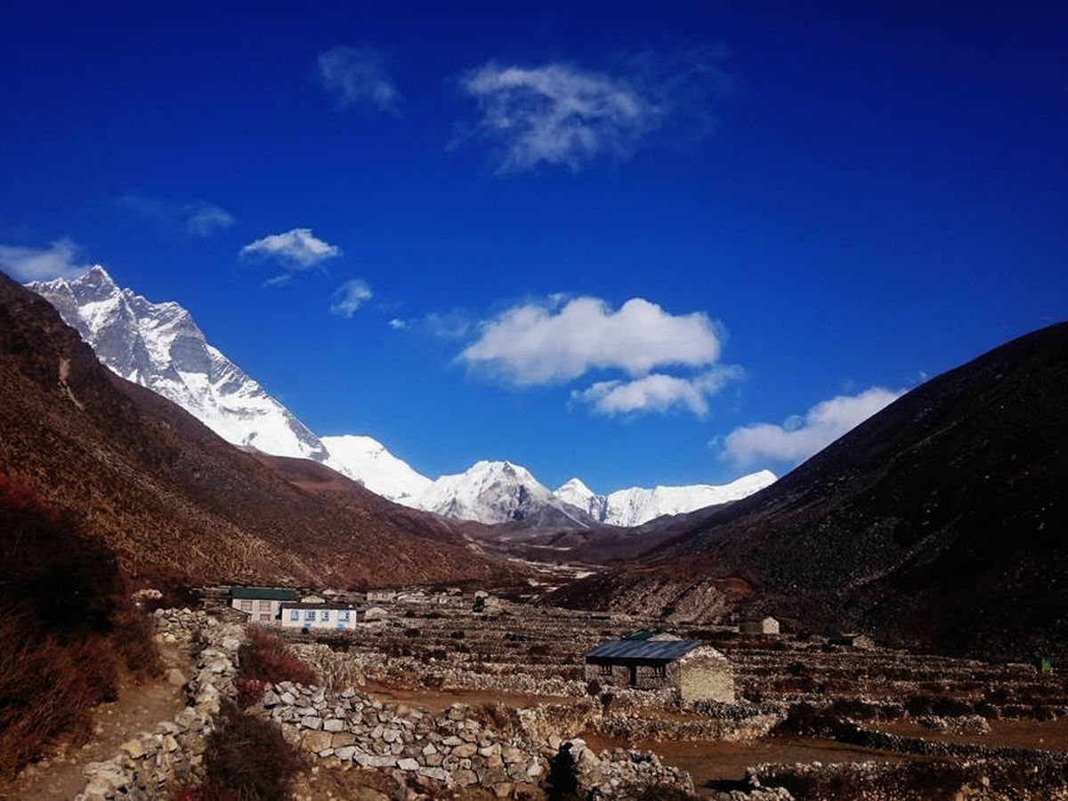 Foto: Anand Dhawaj Negi convirtió una remota zona del Himalaya en un oasis (Meghsha Karki para Unsplash)