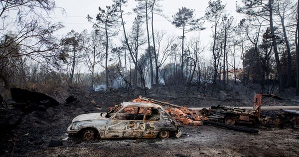 Foto: Galicia trata de recuperar la normalidad tras la oleada de incencios forestales (EFE)