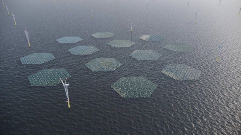 Islas flotantes para convertir el mar en una gigantesca central eléctrica