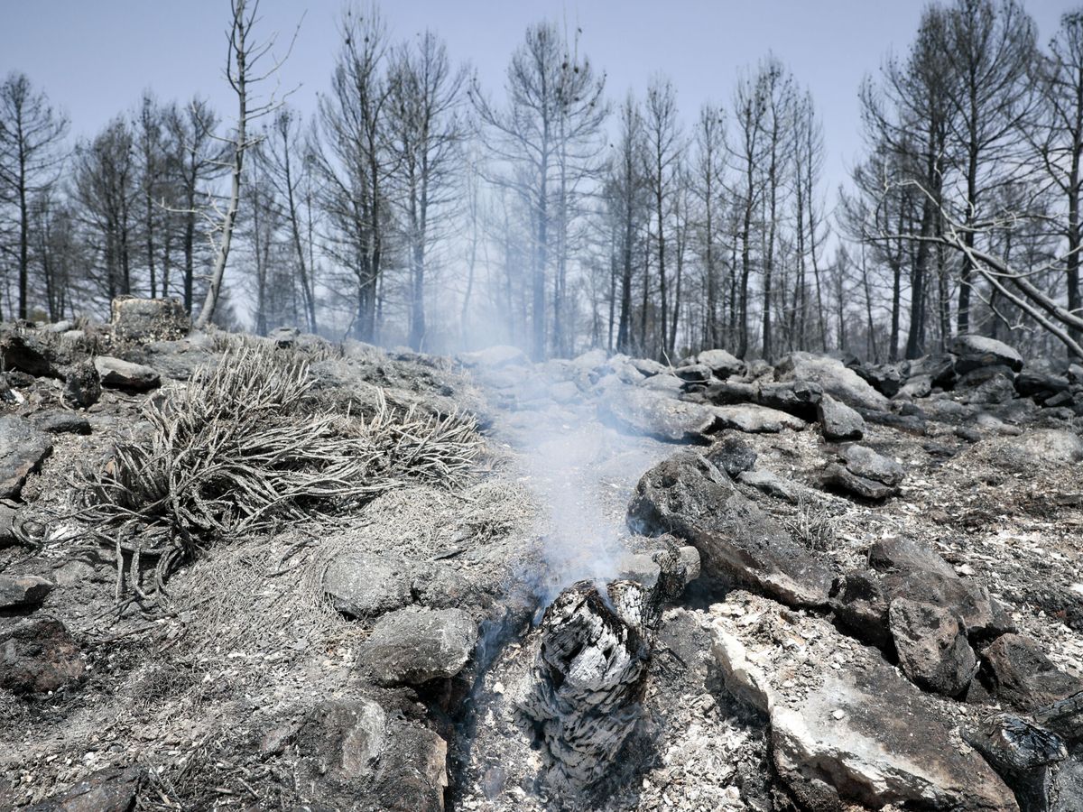 Foto: Imagen del incendio forestal de Venta del Moro. (EFE/Biel Aliño)