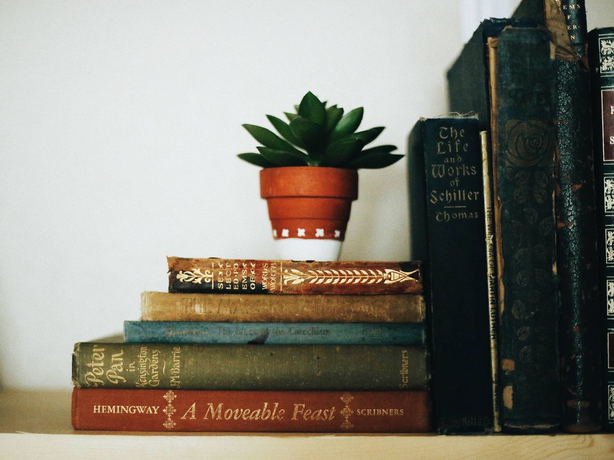 Foto: Ideas de Pinterest para colocar tus libros en la estantería. (Fallon Michael para Unsplash)