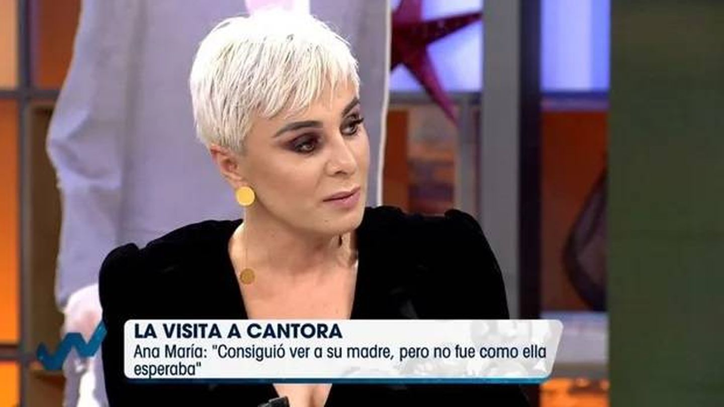 Ana María Aldón, en 'Viva la vida'. (Telecinco).
