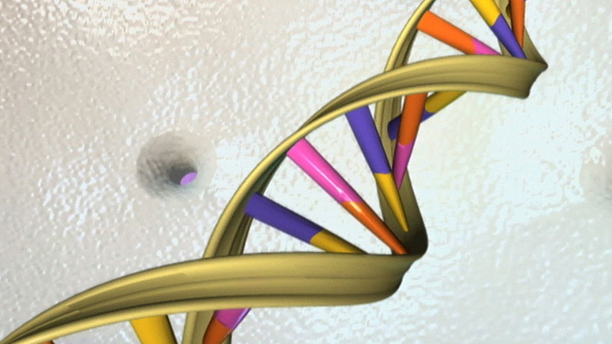 Desarrollan una nueva técnica para editar el genoma y evitar enfermedades