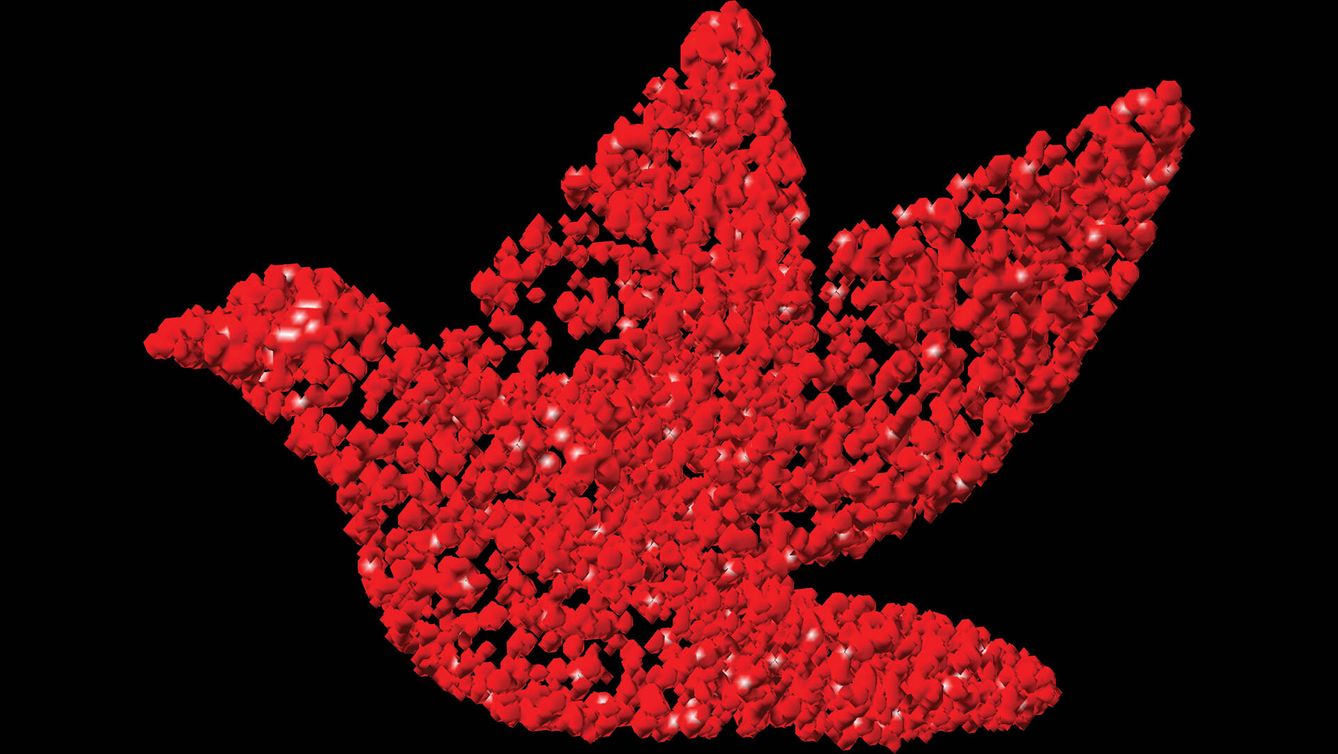 Modelo 3D de las partículas organizadas en forma de paloma. (Max Planck Institute)