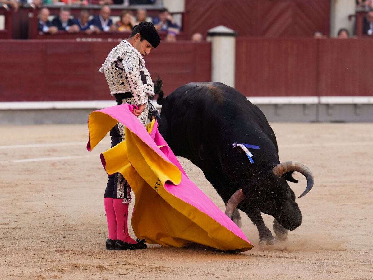 Foto: El diestro Alejandro Talavante en su faena al segundo de su lote durante el festejo taurino de la Feria de San Isidro 2024. (EFE / Borja Sánchez-Trillo)
