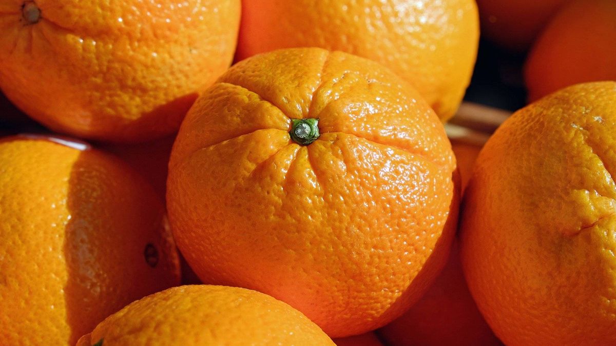 El componente de la naranja que ayuda a perder peso (los científicos no se lo explican) 