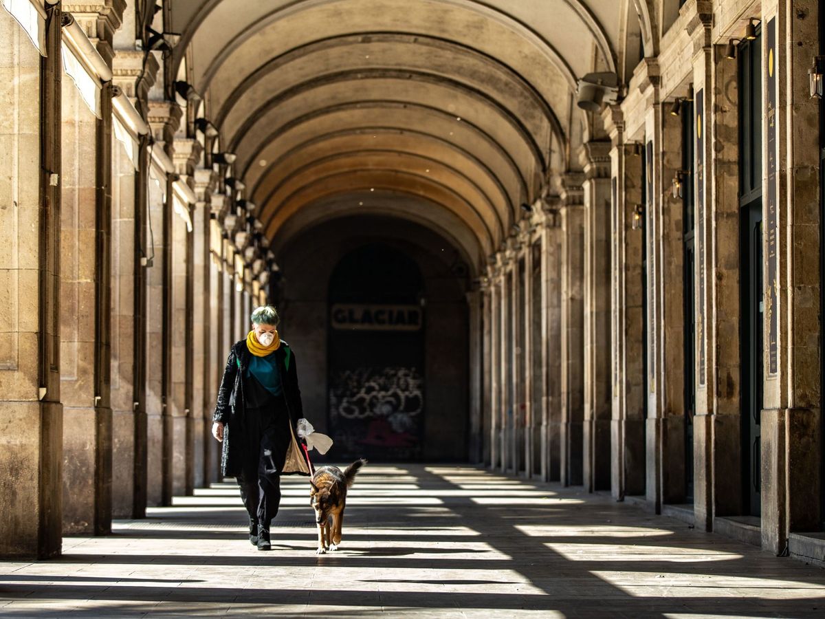 Foto: Una mujer pasea a un perro en Barcelona. (EFE)
