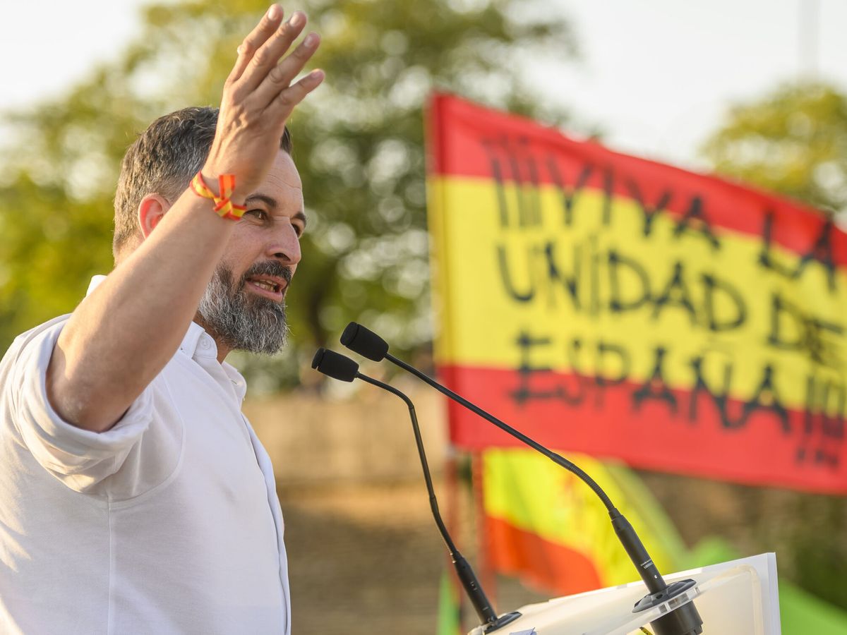 Foto: El líder de Vox, Santiago Abascal. (EFE/Raúl Caro)