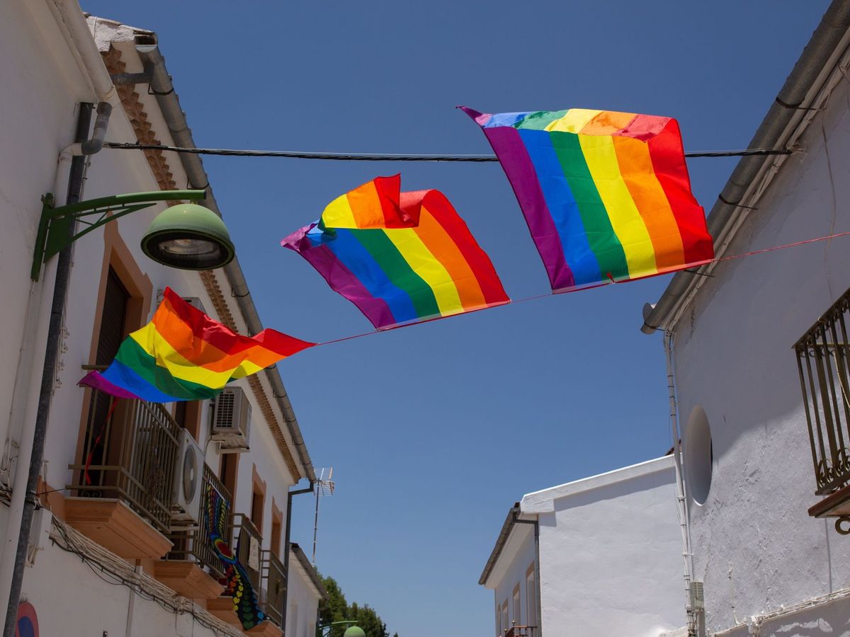 Foto: Banderas arcoíris. (EFE)