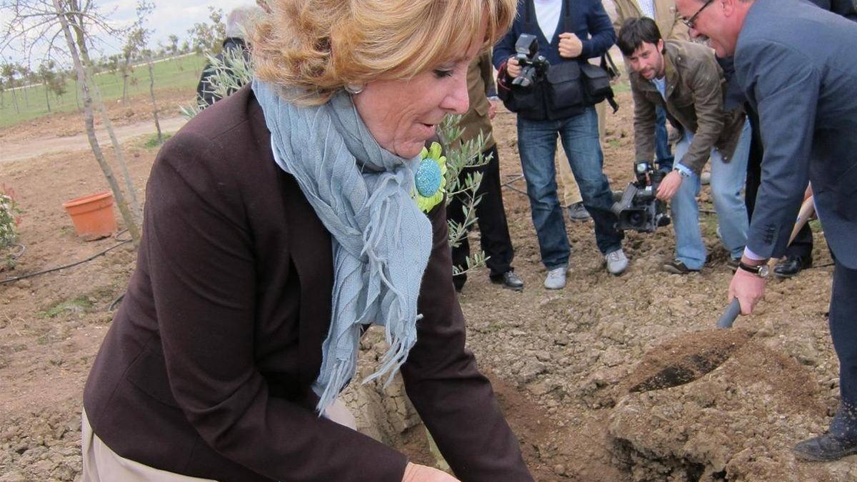 ¿Plantó Aguirre 15 millones de árboles? "Murió hasta el alcornoque que ella puso"