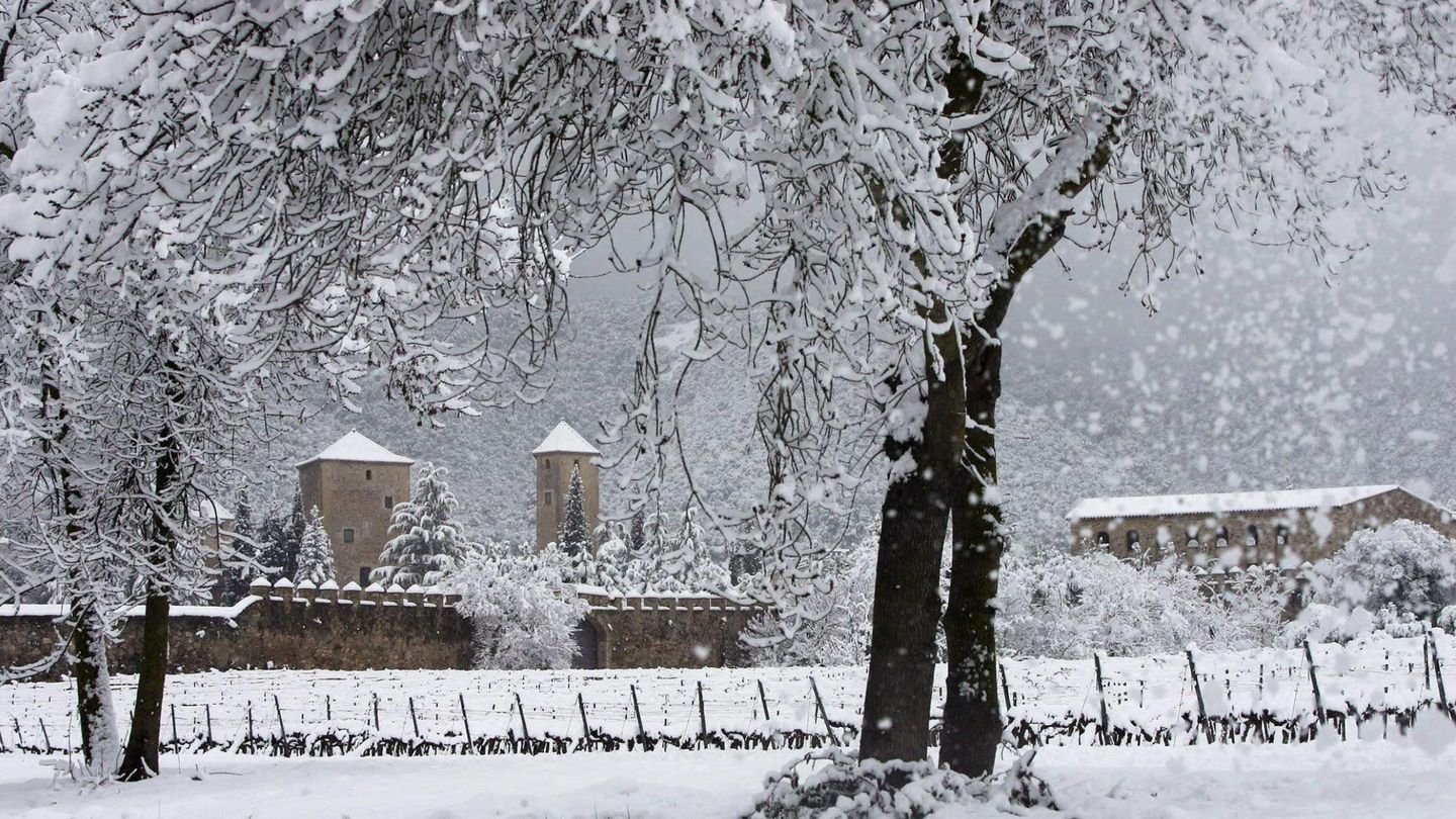 Vista del Monasterio de Santa María de Poblet (EFE)