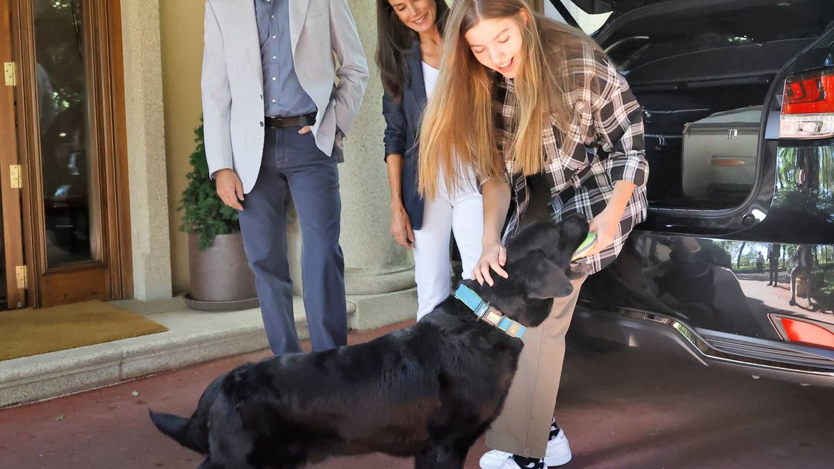 El perro Jan, la mascota de la familia Borbón Ortiz que se ha 'colado' en la despedida de la infanta Sofía
