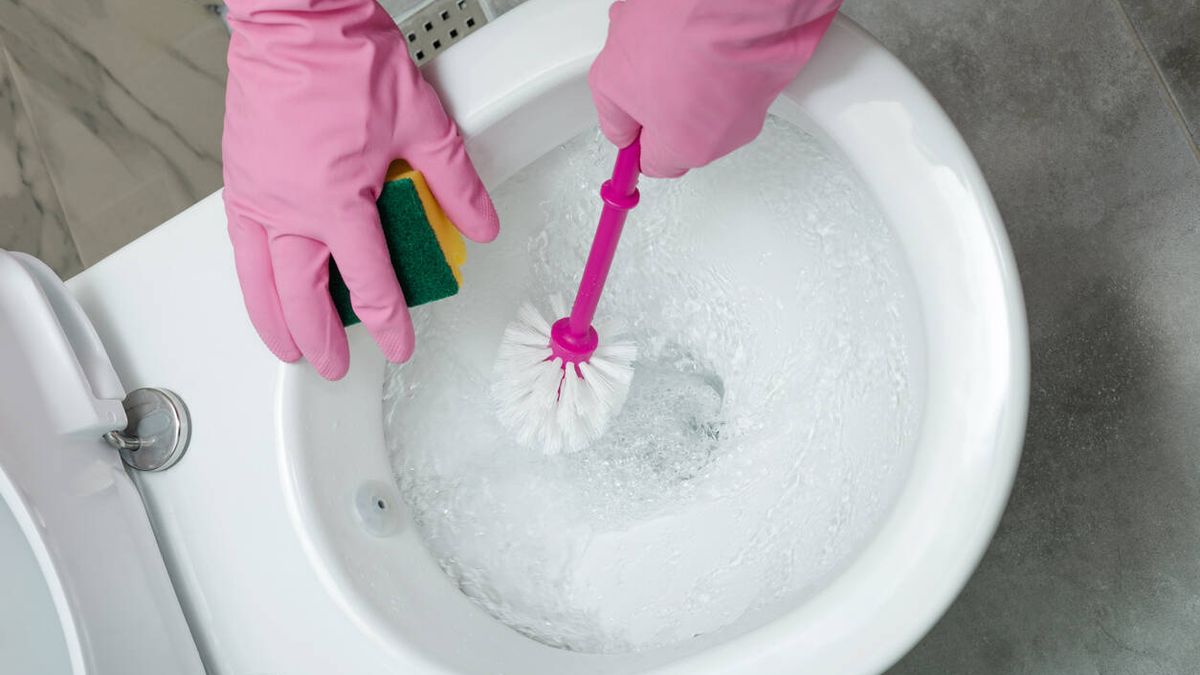 El desconocido truco para eliminar el sarro del inodoro con un ingrediente casero