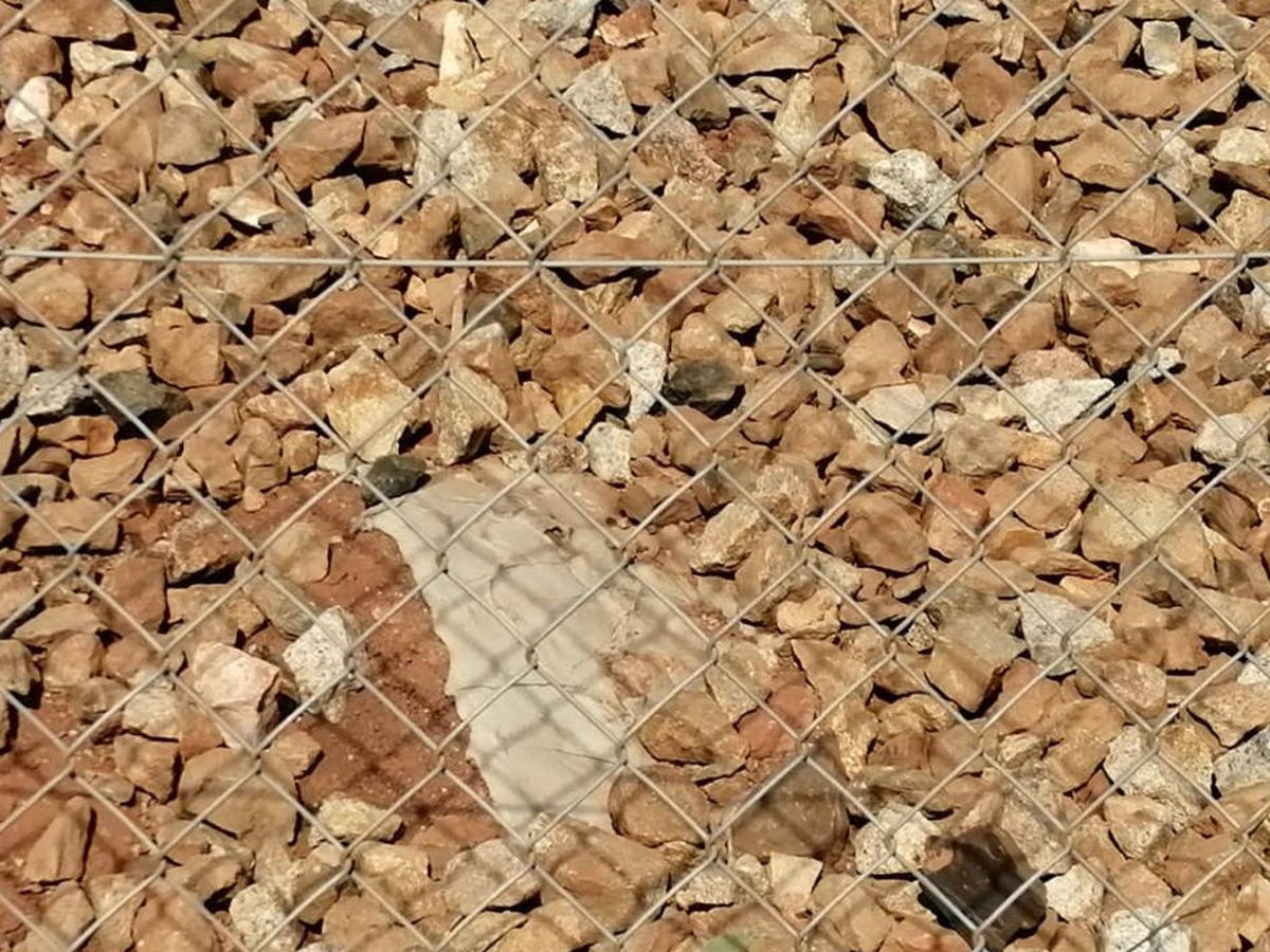Foto: Apenas queda rastro de cemento en la zona en la que se vertió a mediados de octubre (Foto: FAC)